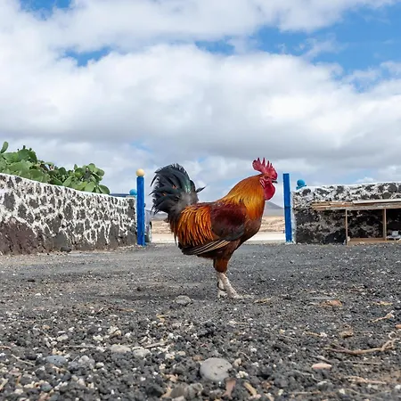 Vista Paraiso, Sea Breeze Facing The Sea 拉·奥利瓦
