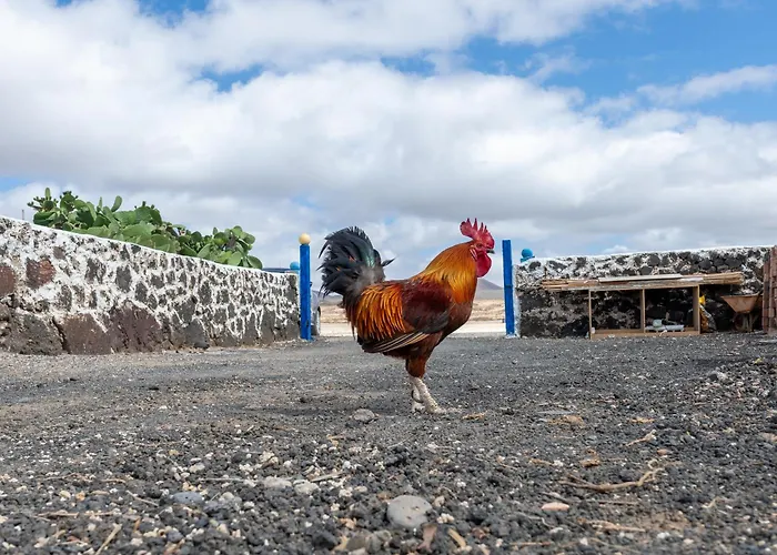 Vista Paraiso, Sea Breeze Facing The Sea لا أوليفا
